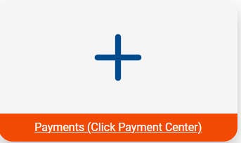 Payment's section